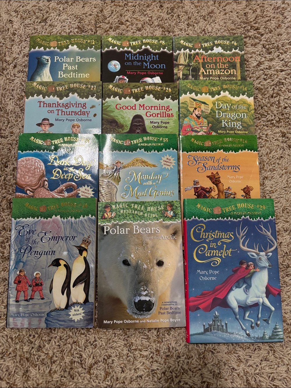 Lot of 12 Magic Tree House books